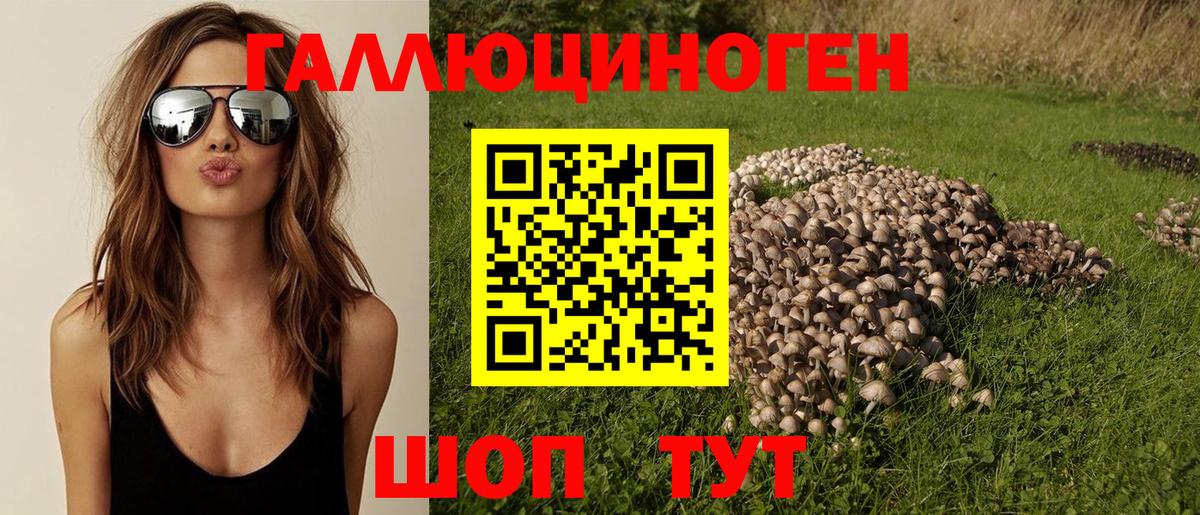 Среднеуральск  Псилоцибиновые грибы мухоморы  Вход с VPN 